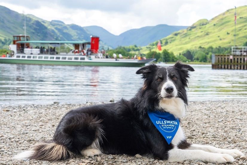 The popularity of four-legged visitors prompt extra-special doggy upgrades, introducing new ‘Rover’ season tickets for more paw-some adventures. 