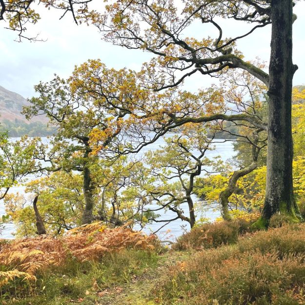 Magical autumn scenes around the lake...